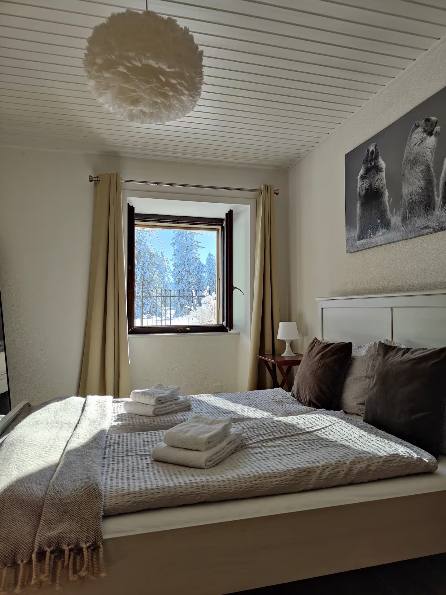 Chambre avec vue sur les sapins enneigés